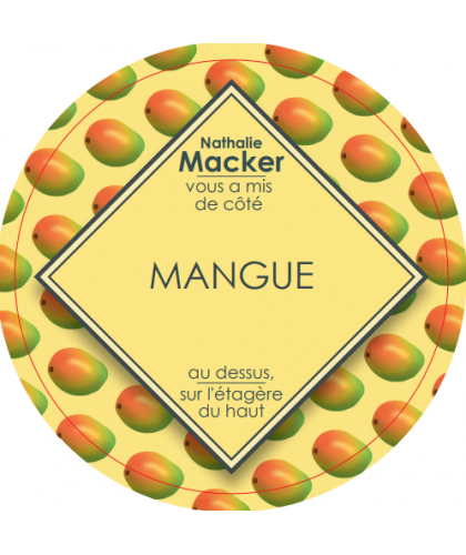 sorbet-maison-mangue-bac-glacier-2-5-L