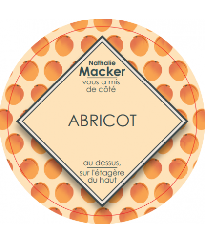 Sorbet-maison-abricot-pot-300gr