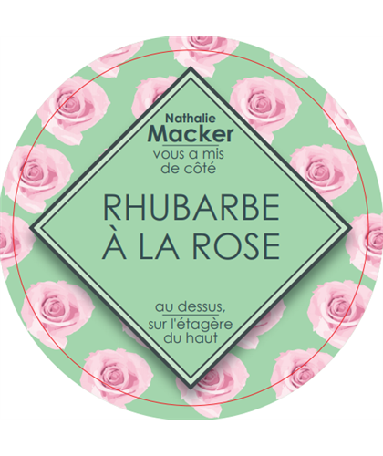 sorbet-maison-rhubarbe-rose-pot-300gr