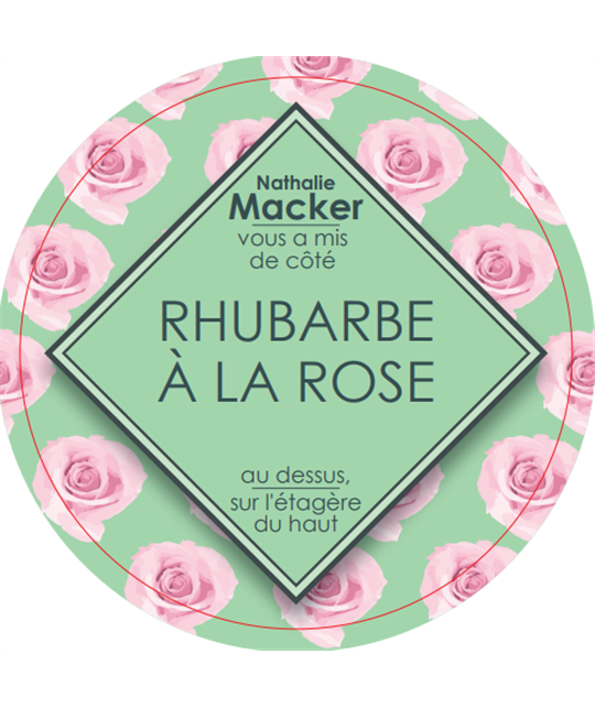 sorbet-maison-rhubarbe-rose-pot-300gr