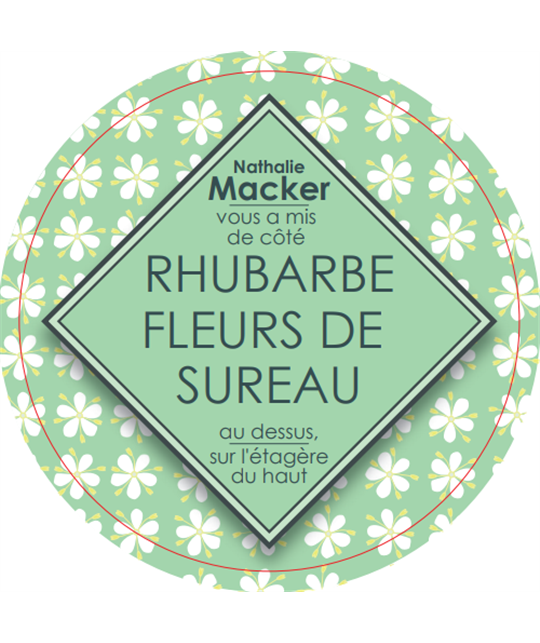 sorbet-maison-rhubarbe-fleurs-de-sureau-pot-300gr